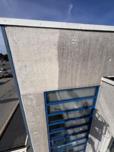 IMG_7302
